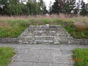 DSC00490