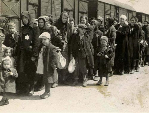 View of the Ramp at Auschwitz-Birkenau Showing the SS Selection of Hungarian Jews USHMM.